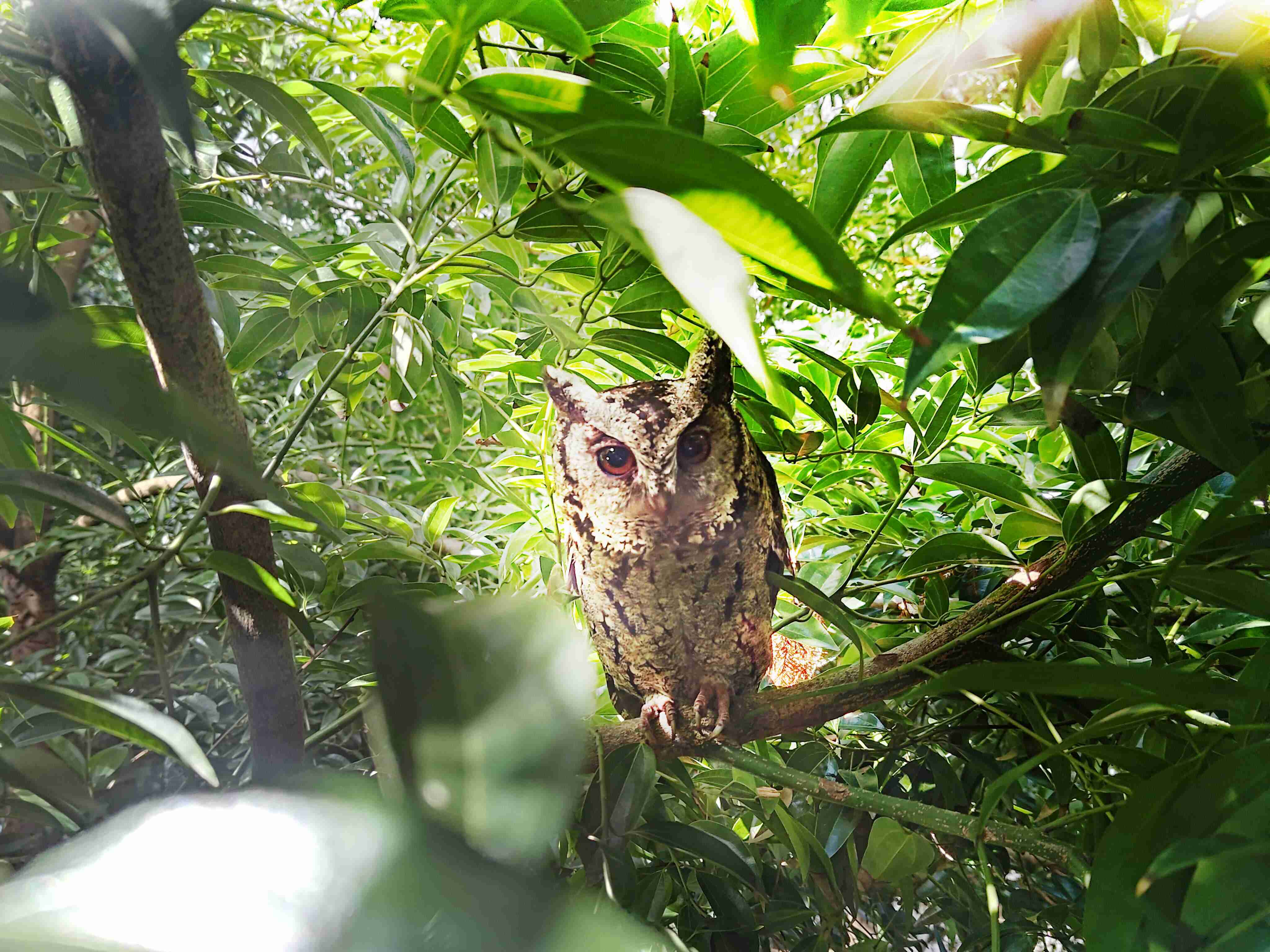 万利致力提倡净零绿生活，，，，16年以来在全球各厂区植树逾百万棵，，，造就各厂区树木蔚然成林，，，，犹如森林工厂，，，成为许多生物的栖息地